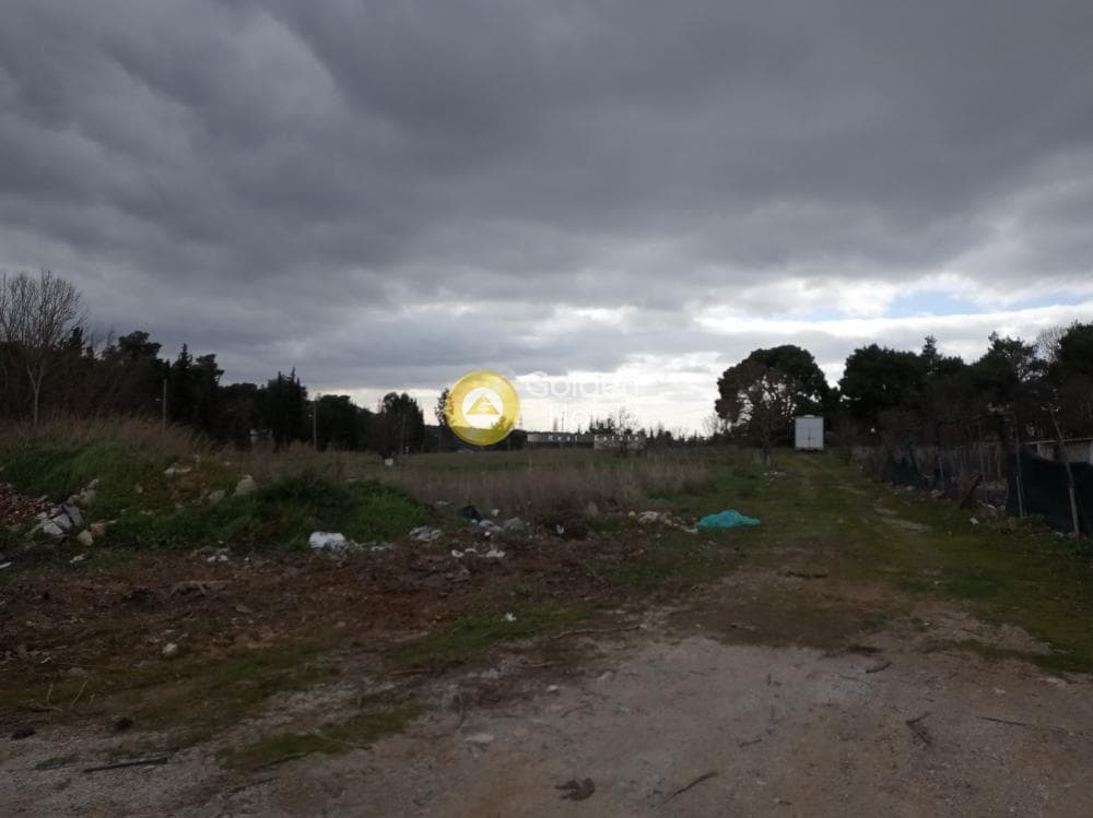 Building Plot in Anoixi, Anoixi