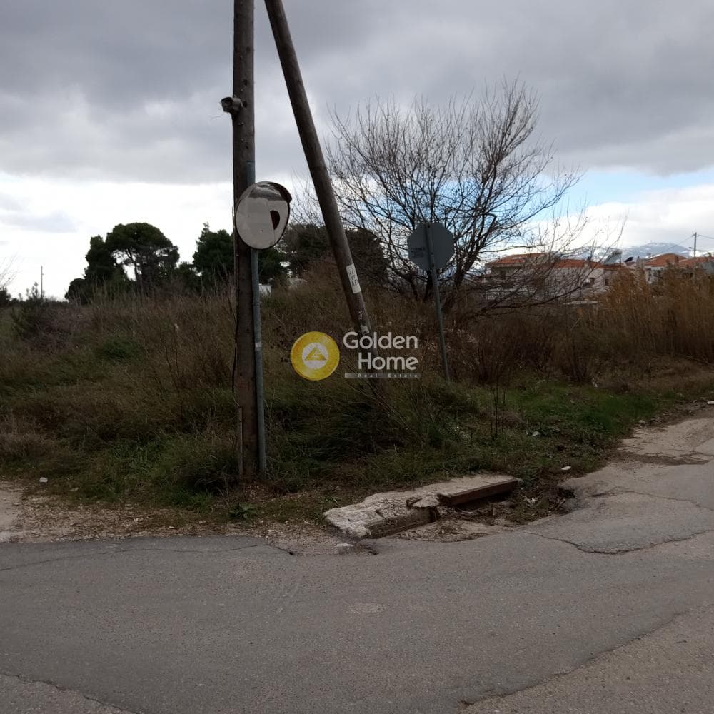Building Plot in Anoixi, Anoixi — Photo 2 of 3