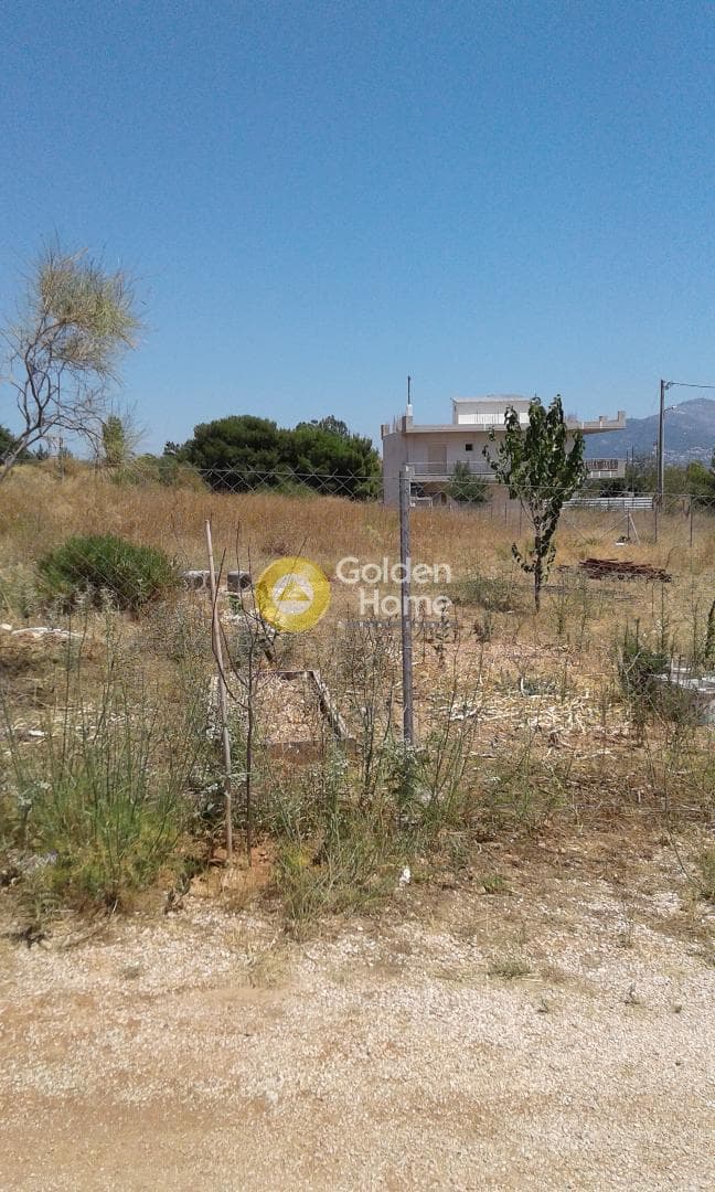 Building Plot in Megala Sxoinia A, Acharnes — Photo 2 of 3