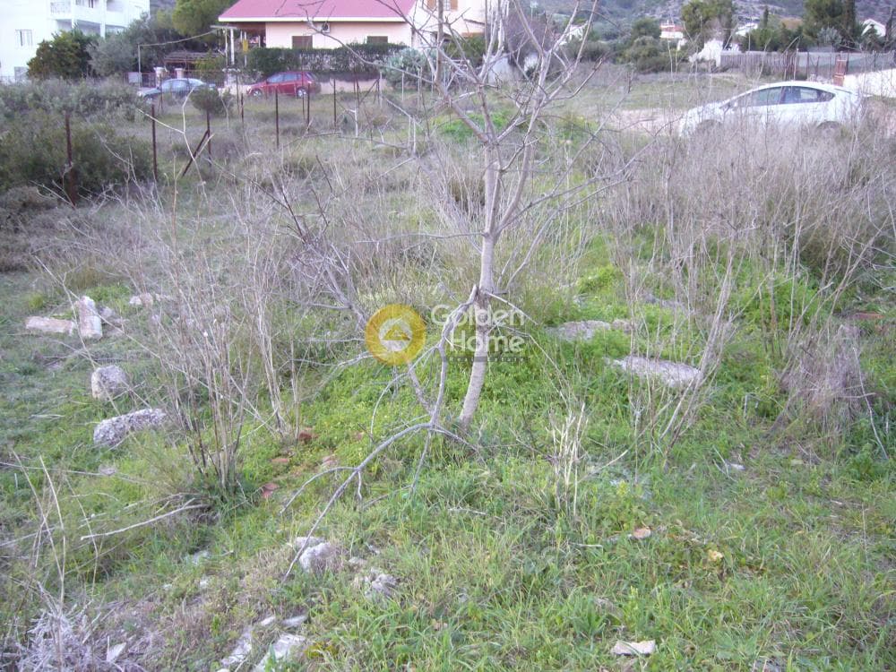 Building Plot in Agia Marina, Koropi — Photo 6 of 14
