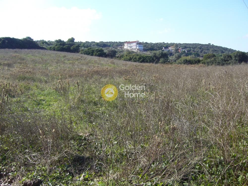 Building Plot in Center, Markopoulo — Photo 3 of 6