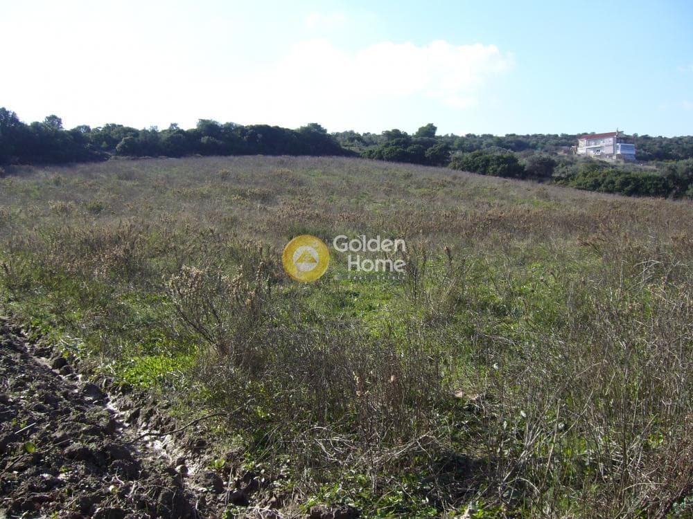 Building Plot in Center, Markopoulo — Photo 4 of 6