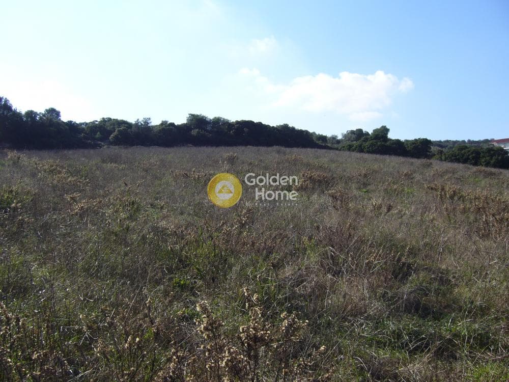 Building Plot in Center, Markopoulo — Photo 5 of 6