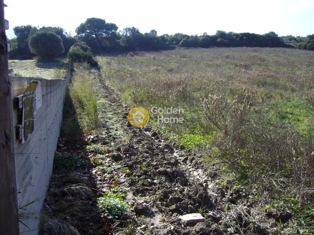 Building Plot in Center, Markopoulo — Photo 2 of 6
