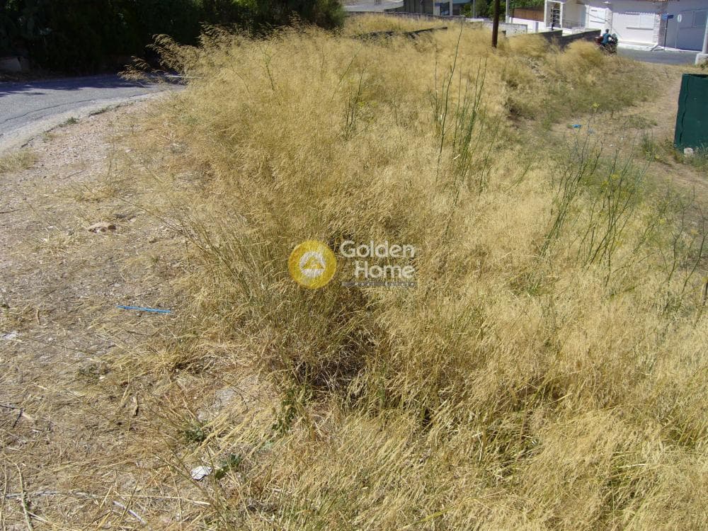 Building Plot in Varis Koropiou Avenue, Koropi — Photo 4 of 14