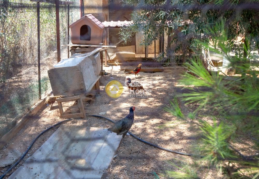 House in Vorres Museum, Paiania — Photo 41 of 85
