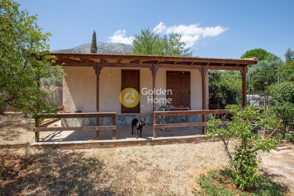 House in Vorres Museum, Paiania — Photo 54 of 85