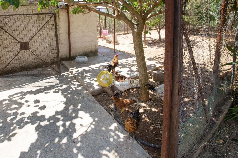 House in Vorres Museum, Paiania — Photo 78 of 85