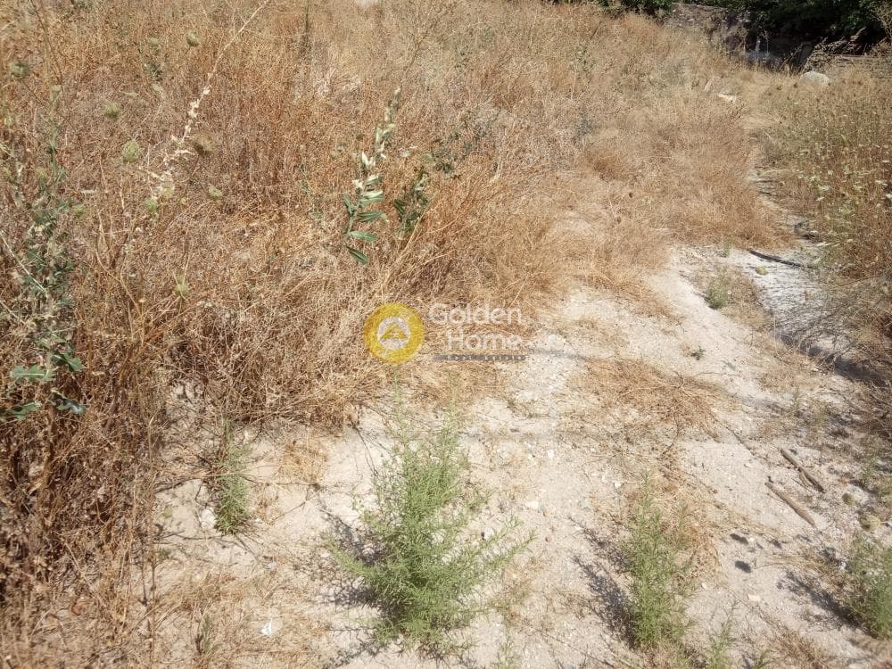 Building Plot in Center, Markopoulo — Photo 2 of 2