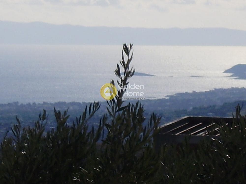 Μονοκατοικία στην Καλλιθέα, Πεντέλη — Φωτογραφία 14 από 26