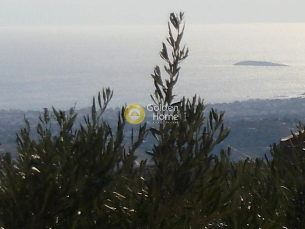 Μονοκατοικία στην Καλλιθέα, Πεντέλη — Φωτογραφία 19 από 26