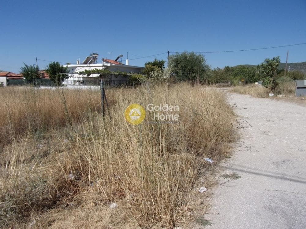 Parcel in Megala Sxoinia A, Acharnes — Photo 4 of 7