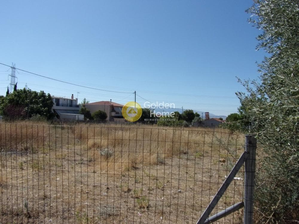 Parcel in Megala Sxoinia A, Acharnes — Photo 6 of 7