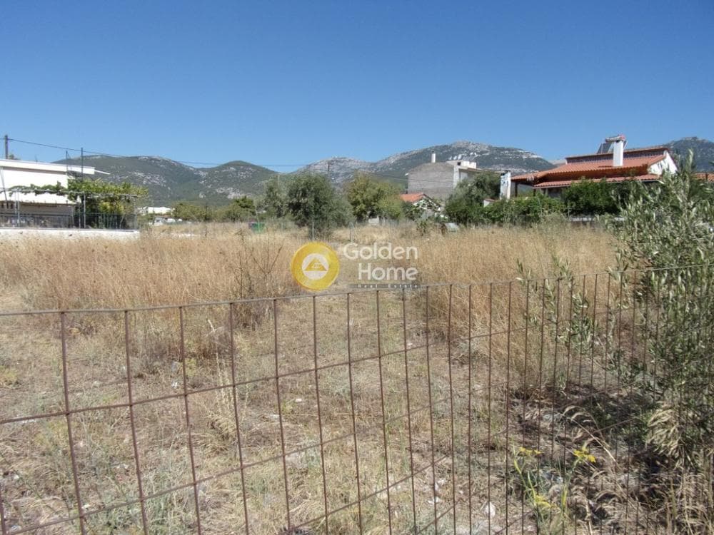 Parcel in Megala Sxoinia A, Acharnes — Photo 5 of 7