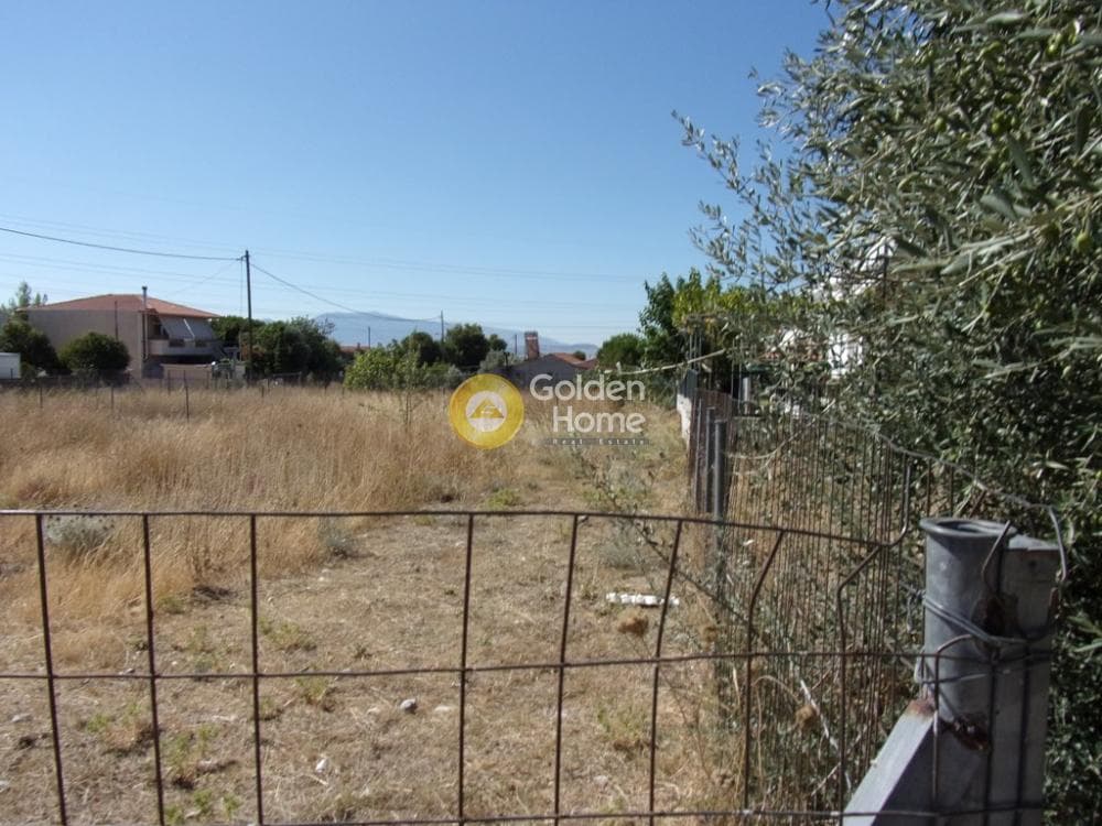 Parcel in Megala Sxoinia A, Acharnes — Photo 7 of 7