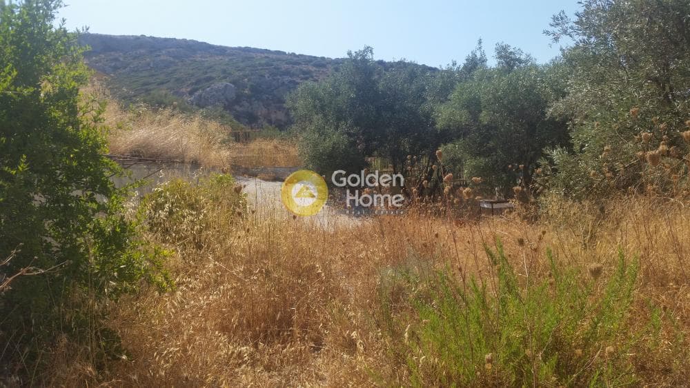 Μονοκατοικία στην Μύλος, Κερατέα — Φωτογραφία 8 από 8
