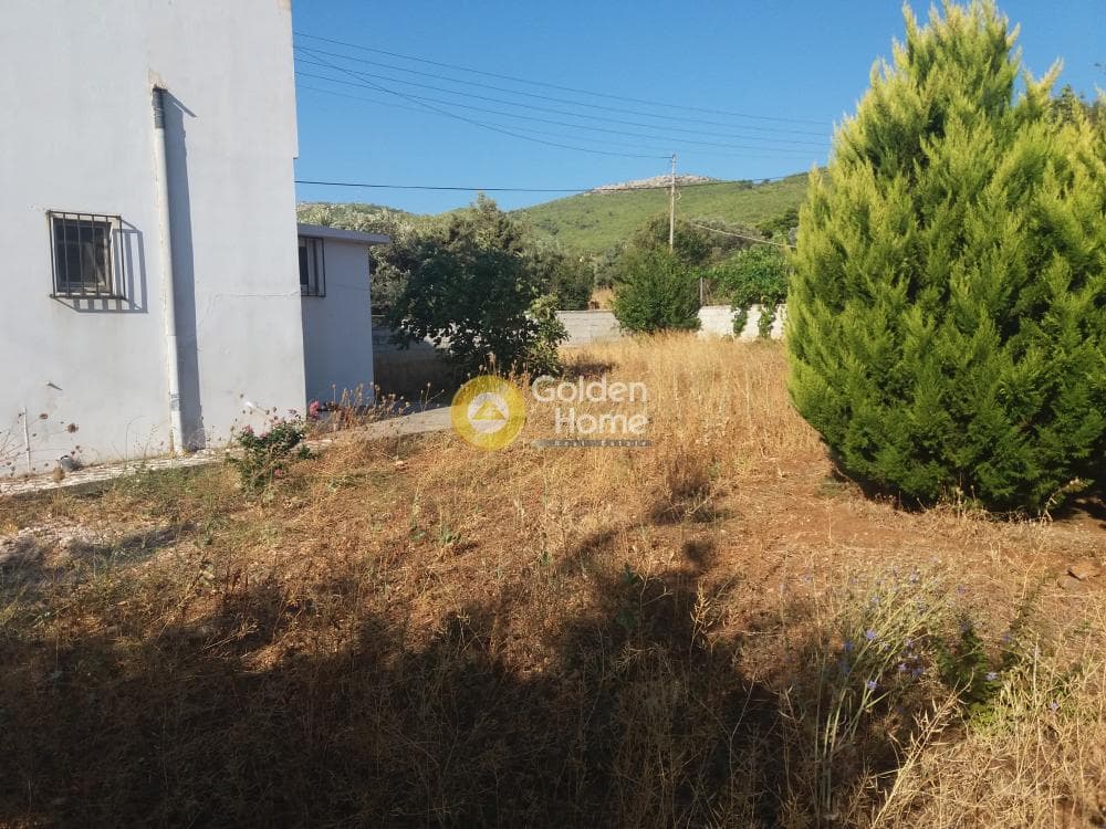 House in Markati, Lavrio — Photo 10 of 10