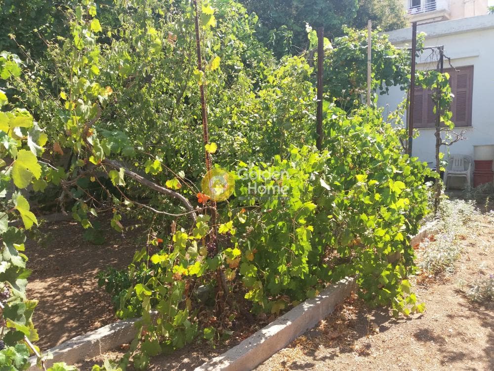 House in Κέντρο, Palaia Fokaia — Photo 4 of 5