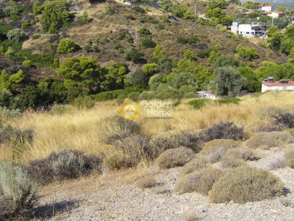 Αγροτεμάχιο στην Ριμπάρι, Κερατέα — Φωτογραφία 4 από 7