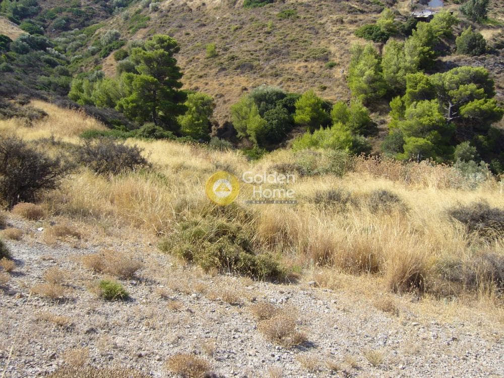 Αγροτεμάχιο στην Ριμπάρι, Κερατέα — Φωτογραφία 5 από 7