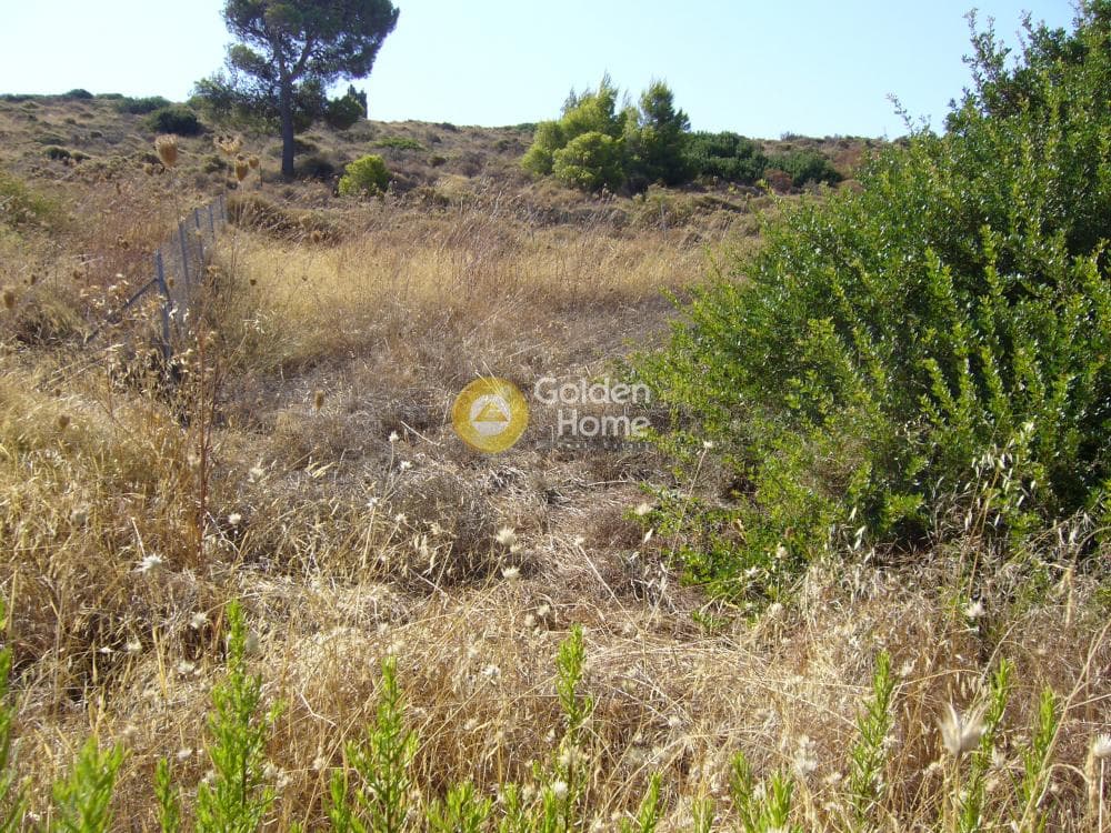 Αγροτεμάχιο στην Ριμπάρι, Κερατέα — Φωτογραφία 7 από 7