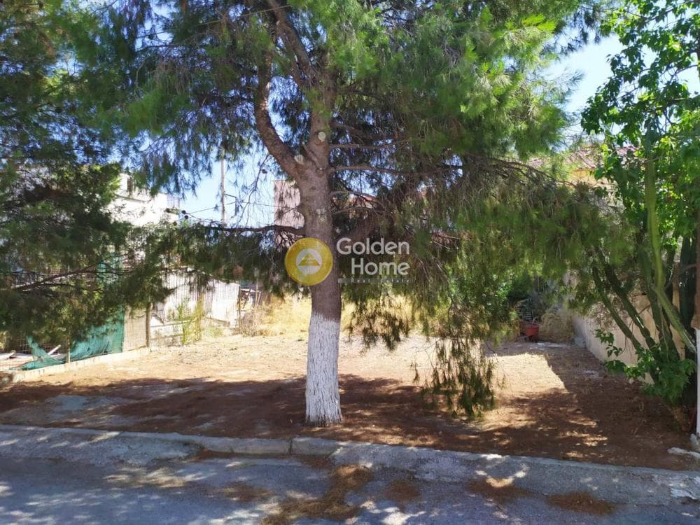 Οικόπεδο στην Δροσούπολη, Άνω Λιόσια — Φωτογραφία 7 από 10