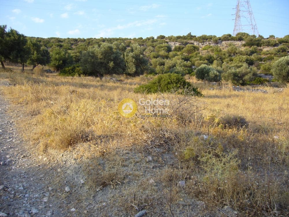 Αγροτεμάχιο στην Μητροπήσι, Κερατέα — Φωτογραφία 4 από 5