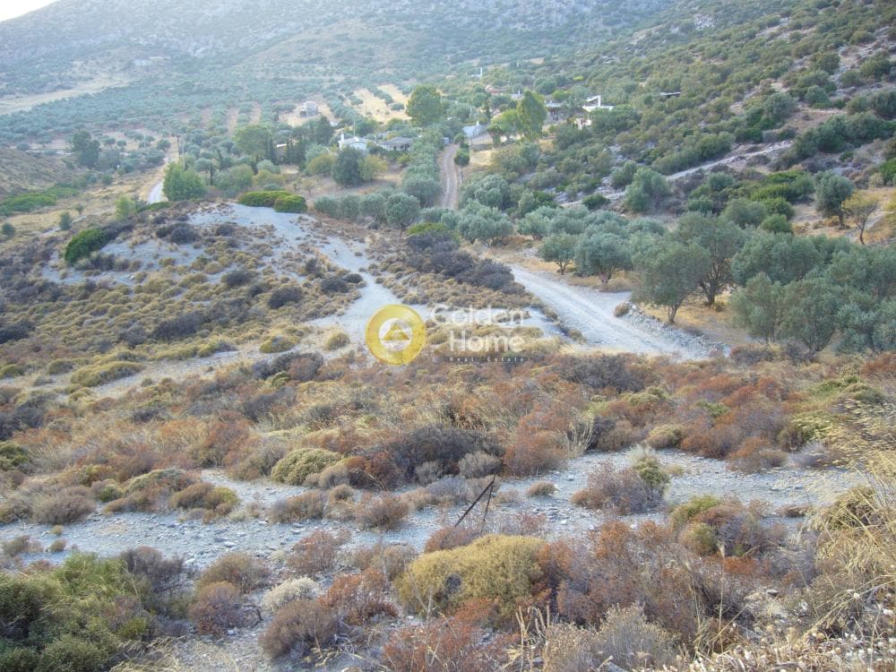 Αγροτεμάχιο στην Μητροπήσι, Κερατέα — Φωτογραφία 2 από 5