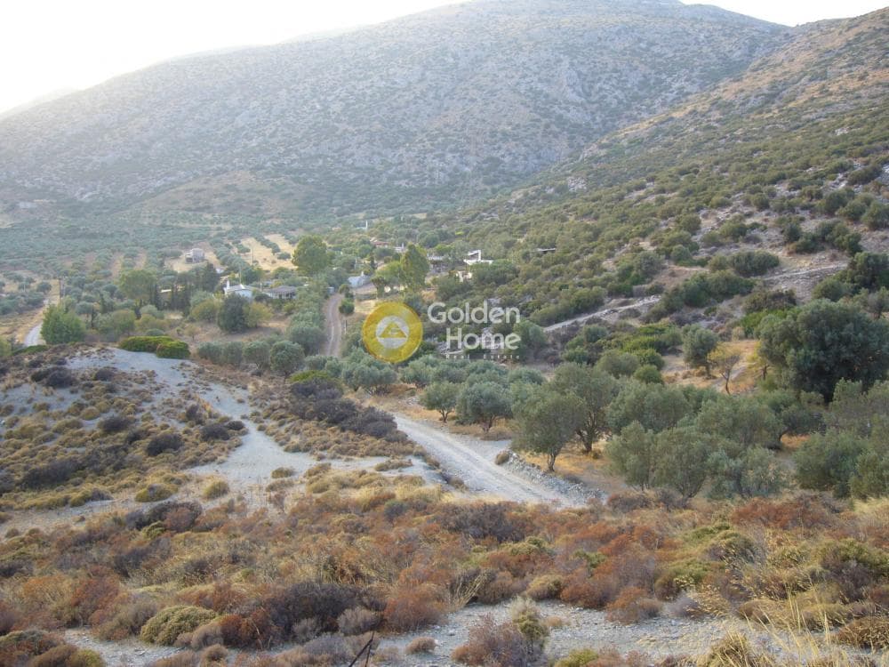 Αγροτεμάχιο στην Μητροπήσι, Κερατέα — Φωτογραφία 5 από 5