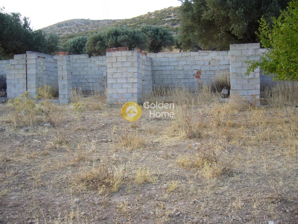 Αγροτεμάχιο στην Σάκκα, Κερατέα — Φωτογραφία 10 από 11