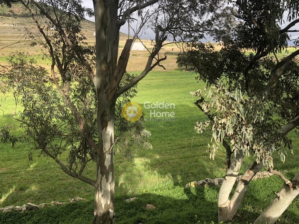Building Plot in Marpissa, Paros — Photo 3 of 11