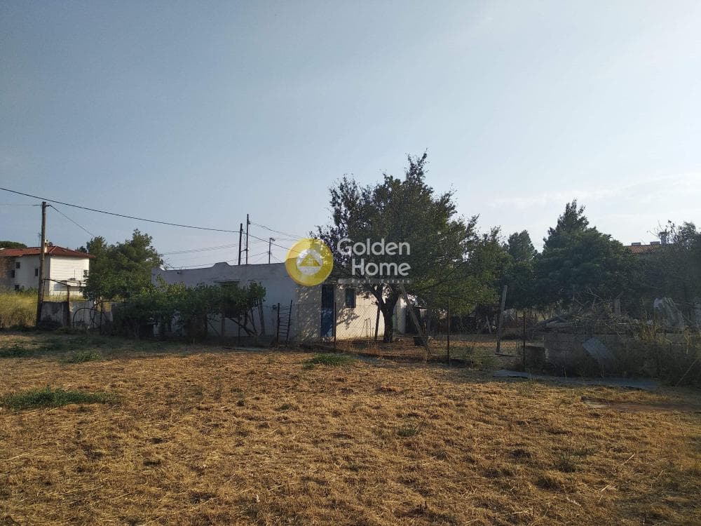 Οικόπεδο στην Αδάμες (Οικισμός Γράμμος - Φοίνικας), Κηφισιά — Φωτογραφία 3 από 10