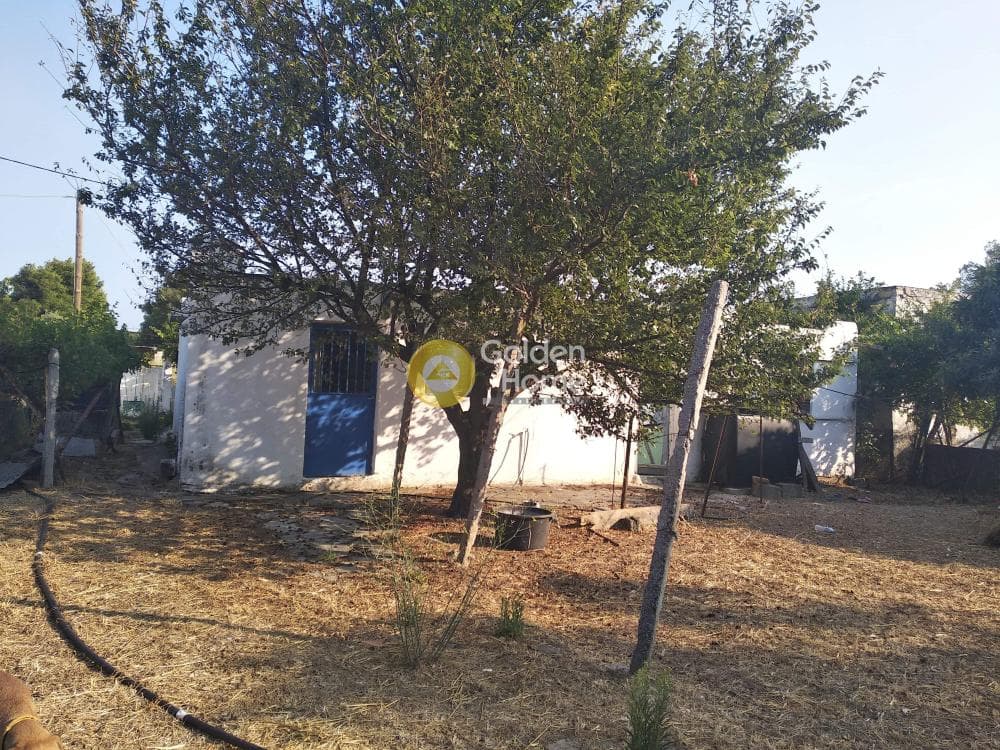 Οικόπεδο στην Αδάμες (Οικισμός Γράμμος - Φοίνικας), Κηφισιά — Φωτογραφία 9 από 10