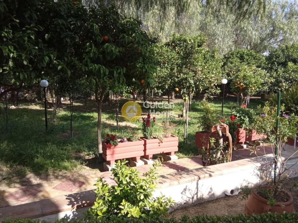 Μονοκατοικία στην Άγιος Μηνάς, Χίος — Φωτογραφία 28 από 29