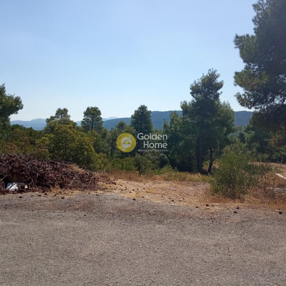 Building Plot in Avgi, Afidnes — Photo 1 of 2