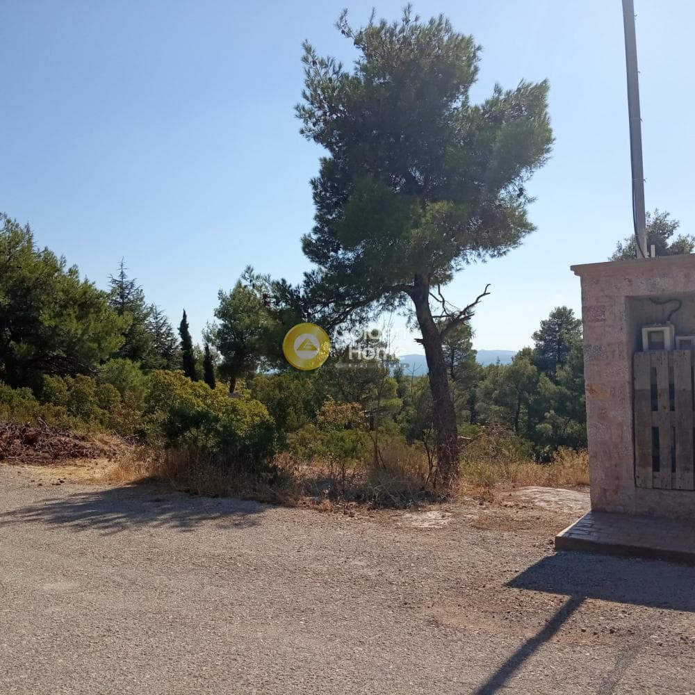 Building Plot in Avgi, Afidnes — Photo 2 of 2