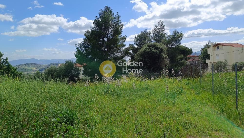 Οικόπεδο στην Νέα Παλλήνη, Παλλήνη — Φωτογραφία 6 από 7