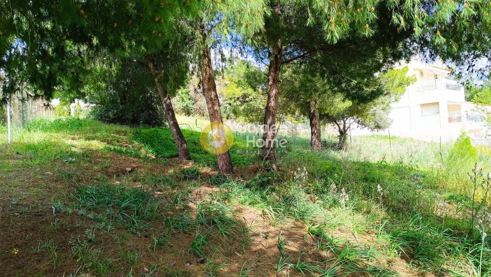 Οικόπεδο στην Νέα Παλλήνη, Παλλήνη — Φωτογραφία 7 από 7