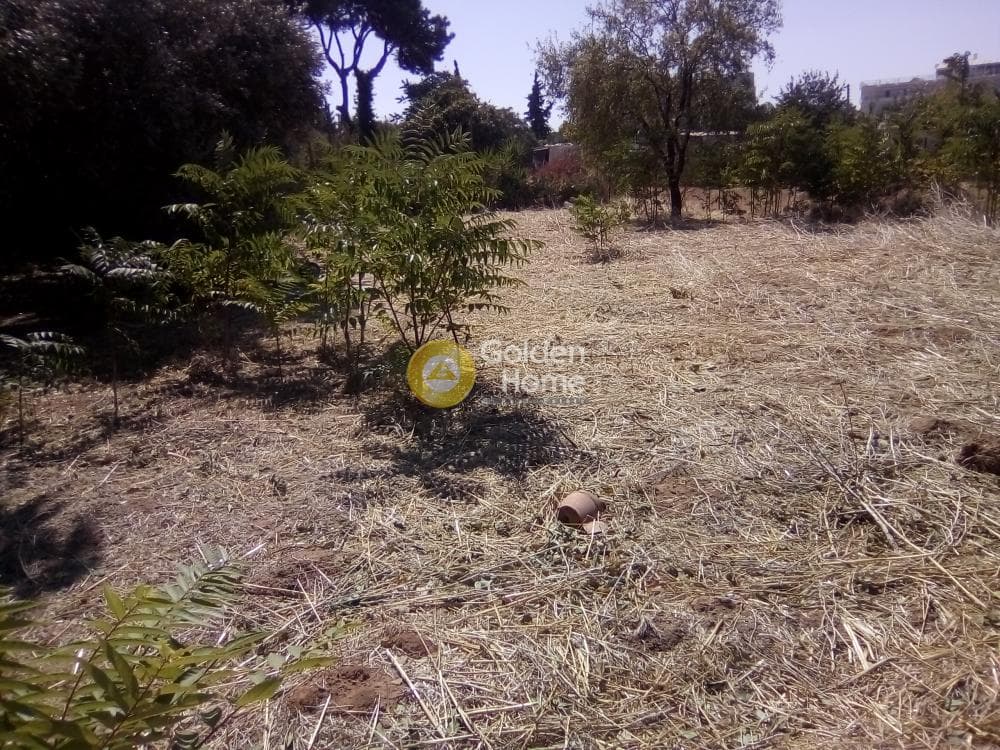 Parcel in Nomismatokopeio, Chalandri — Photo 2 of 3
