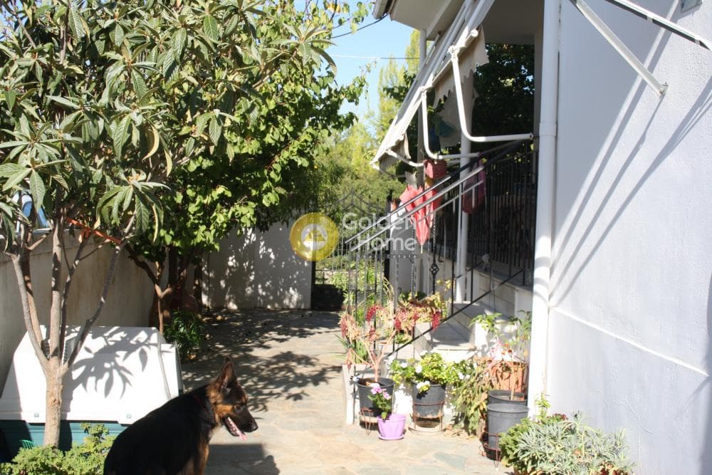 House in Oikismos Vgena, Rafina — Photo 22 of 50
