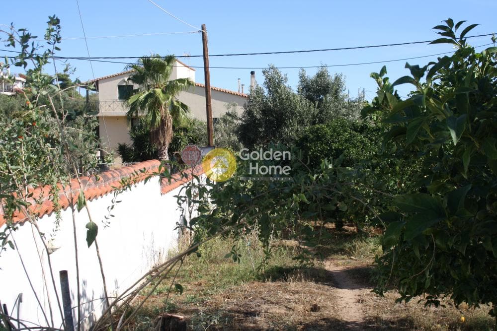 House in Oikismos Vgena, Rafina — Photo 23 of 50