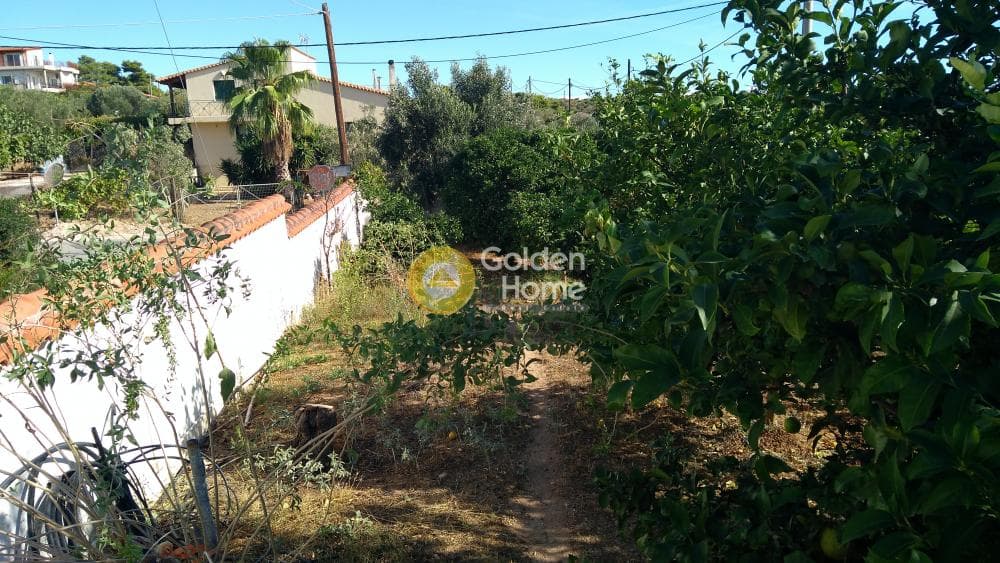 House in Oikismos Vgena, Rafina — Photo 31 of 50