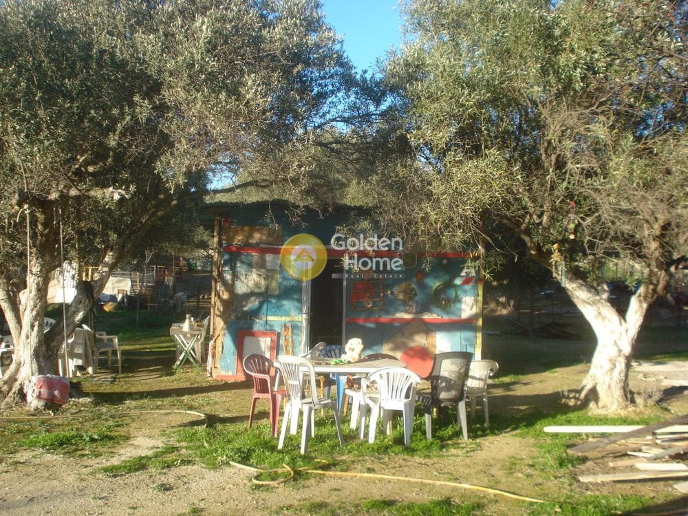 Parcel in Rountzeri Lemprou, Keratea — Photo 6 of 11