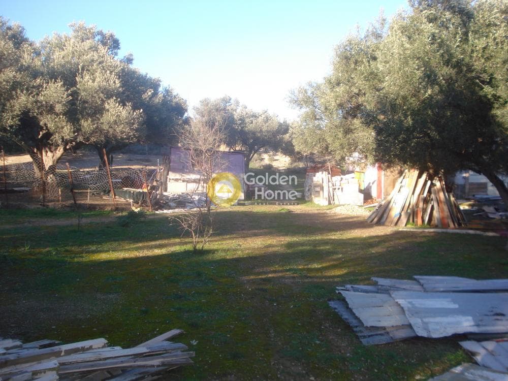 Parcel in Rountzeri Lemprou, Keratea — Photo 10 of 11
