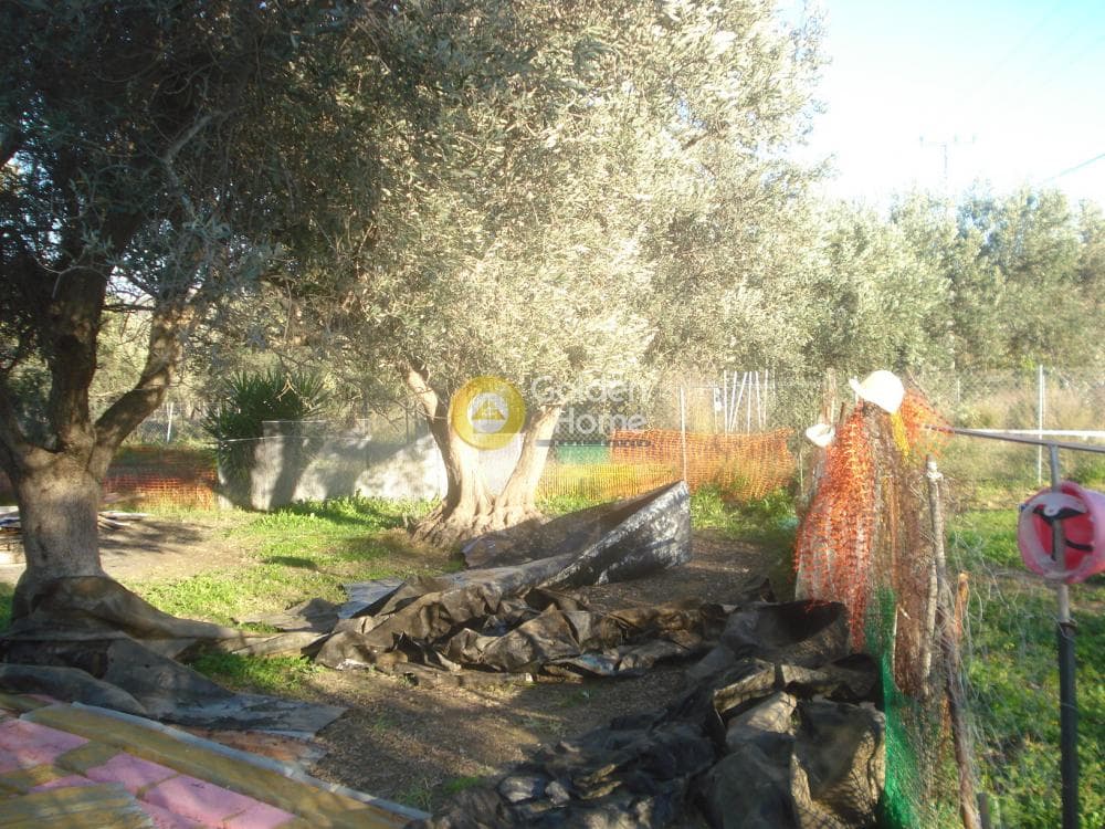 Parcel in Rountzeri Lemprou, Keratea — Photo 11 of 11