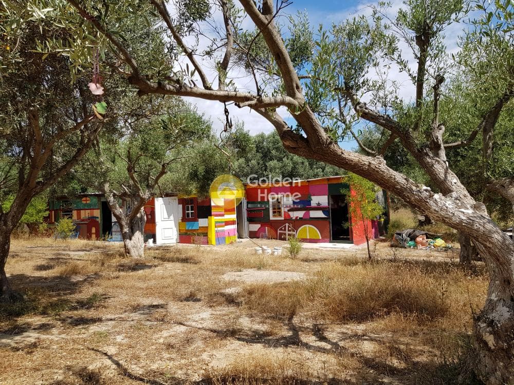 Parcel in Rountzeri Lemprou, Keratea — Photo 3 of 11