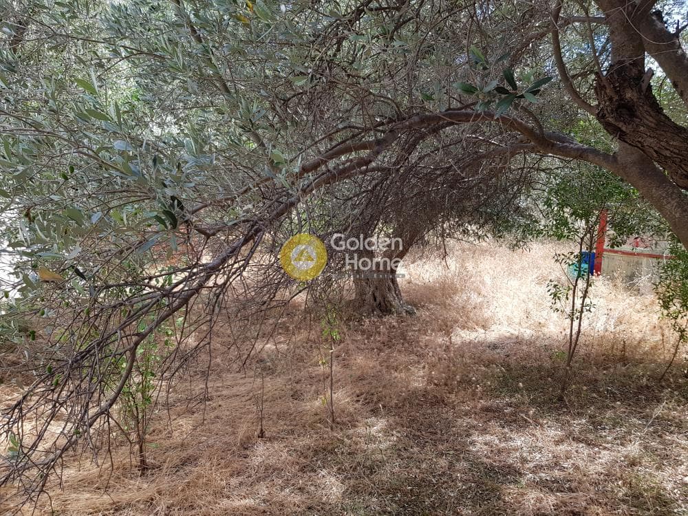 Parcel in Rountzeri Lemprou, Keratea — Photo 2 of 11
