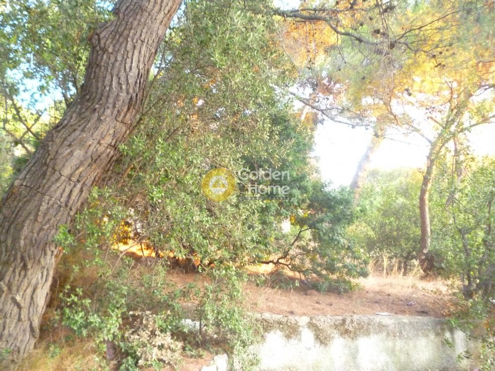 Μονοκατοικία στην Κέντρο, Πεντέλη — Φωτογραφία 7 από 7