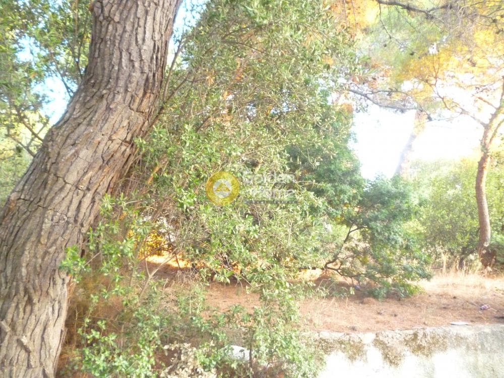 Οικόπεδο στην Κέντρο, Πεντέλη