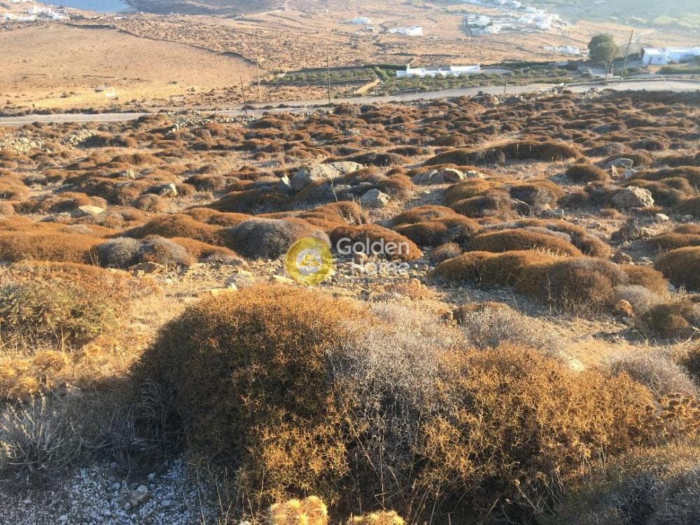 Οικόπεδο στην Καλαφάτη, Μύκονος — Φωτογραφία 5 από 5